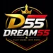 Dream55 Game 2026 Platform and Gaming Guide