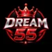 Dream 55 smart guide and safety information 2026